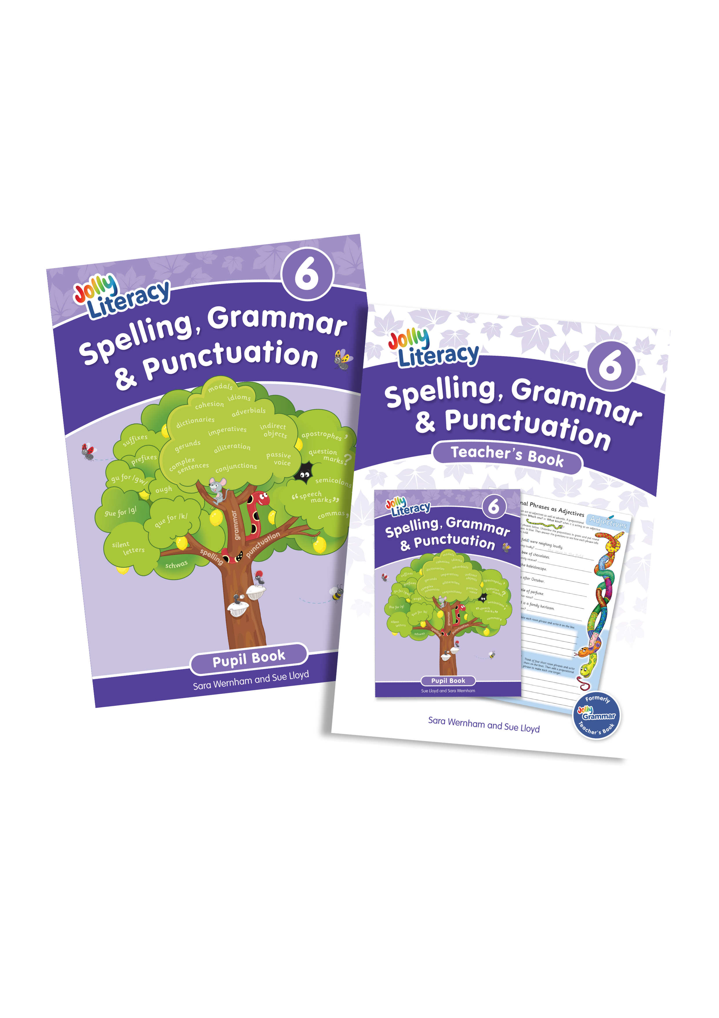 Spelling, Grammar & Punctuation Teacher & Pupil Book 6 Bundle (Precurs ...